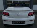 Mercedes-Benz C 450 C 43 AMG Cabrio 4M/Perf.AGA/Designo/360/19° Weiß - thumbnail 6