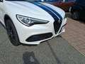 Alfa Romeo Stelvio 2.2 JTDM Super Q4 Weiß - thumbnail 20