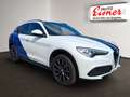 Alfa Romeo Stelvio 2.2 JTDM Super Q4 Weiß - thumbnail 18