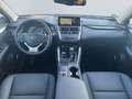 Lexus NX 300h Style Edition *Bi-LED*ACC*CAM*SHZ*CarPlay* Noir - thumbnail 12