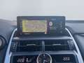 Lexus NX 300h Style Edition *Bi-LED*ACC*CAM*SHZ*CarPlay* Noir - thumbnail 16