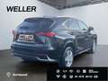 Lexus NX 300h Style Edition *Bi-LED*ACC*CAM*SHZ*CarPlay* Noir - thumbnail 19