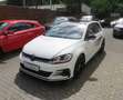 Volkswagen Golf GTI GTI TCR // 19"/ACC/LED/Virtual/FahrAss+ Weiß - thumbnail 9