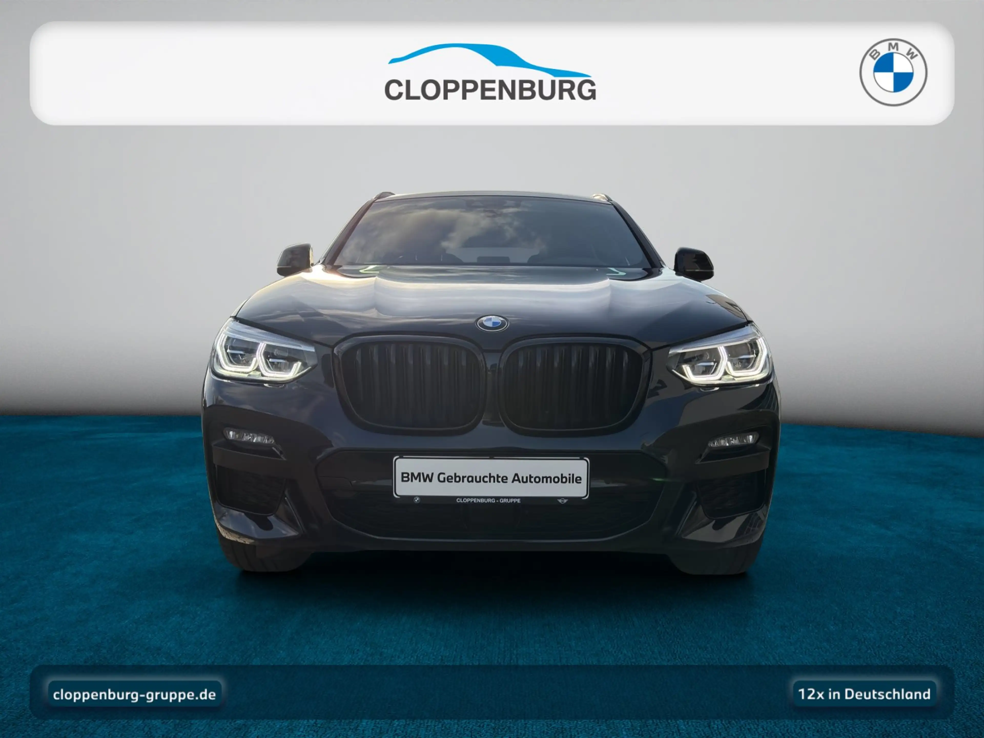 BMW X4 xDrive30d Head-Up+AHK+Navi+Kamera+ACC+SHZ+WR — photo 9