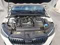 Skoda Scala Monte Carlo mit Garantie Weiß - thumbnail 19