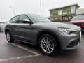 Alfa Romeo Stelvio Q4 210cv auto my19 Argent - thumbnail 3