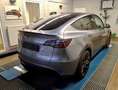 Tesla Model Y Performance Dual AWD 8x Rundumsichtkameras Argent - thumbnail 3
