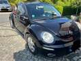 Volkswagen New Beetle 1.4 United Schwarz - thumbnail 4