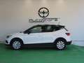 SEAT Arona 1.0 TSI 85kW 115CV DSG Xcellence Eco Blanco - thumbnail 8