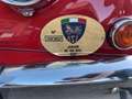 Jaguar XK 150 DHC Automatica Rot - thumbnail 21