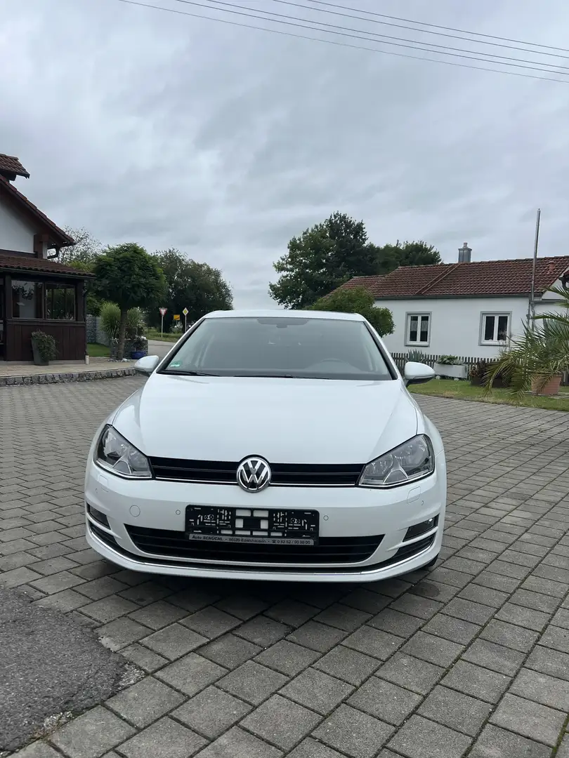 Volkswagen Golf Allstar BMT Weiß - 1