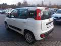 Fiat Panda Lounge 1.2 8V *Unfall* Weiß - thumbnail 8