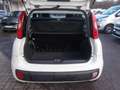 Fiat Panda Lounge 1.2 8V *Unfall* Weiß - thumbnail 9