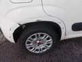 Fiat Panda Lounge 1.2 8V *Unfall* Weiß - thumbnail 6