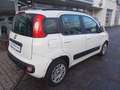 Fiat Panda Lounge 1.2 8V *Unfall* Weiß - thumbnail 5