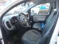 Fiat Panda Lounge 1.2 8V *Unfall* Weiß - thumbnail 11