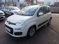 Fiat Panda Lounge 1.2 8V *Unfall* Weiß - thumbnail 1