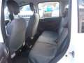 Fiat Panda Lounge 1.2 8V *Unfall* Weiß - thumbnail 10
