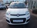 Fiat Panda Lounge 1.2 8V *Unfall* Weiß - thumbnail 2