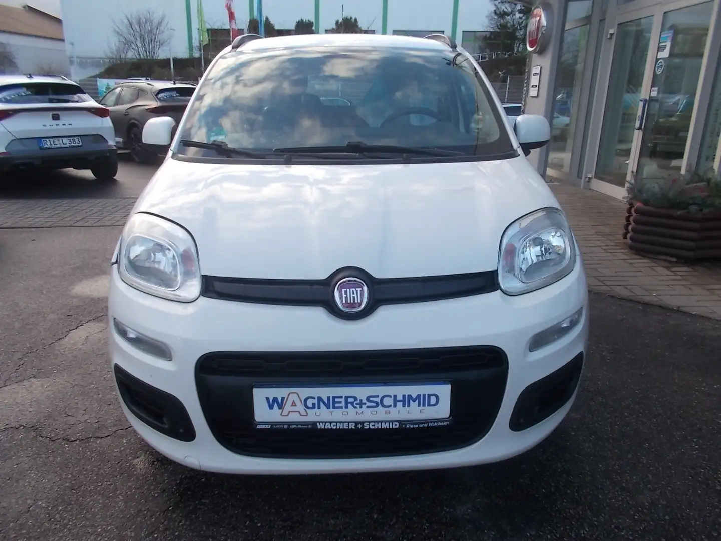 Fiat Panda Lounge 1.2 8V *Unfall* Weiß - 2