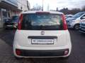 Fiat Panda Lounge 1.2 8V *Unfall* Weiß - thumbnail 7