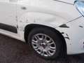 Fiat Panda Lounge 1.2 8V *Unfall* Weiß - thumbnail 4