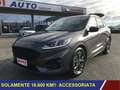 Ford Kuga 2.0 EcoBlue 120cv auto ST-Line ST LINE * 18.600 K Grigio - thumbnail 3