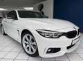 BMW 420 M Sport*Kamera*HUD* Weiß - thumbnail 4