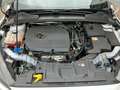 Ford Focus Focus Wagon 1.5 ST-Line Wit - thumbnail 15