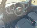 Fiat Panda MY24 1.0 Klima PDC Citypaket Schwarz - thumbnail 11