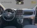Fiat Panda MY24 1.0 Klima PDC Citypaket Schwarz - thumbnail 8
