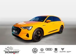 Audi e-tron 50 quattro advanced Stadt+Tour AHK MATRIX