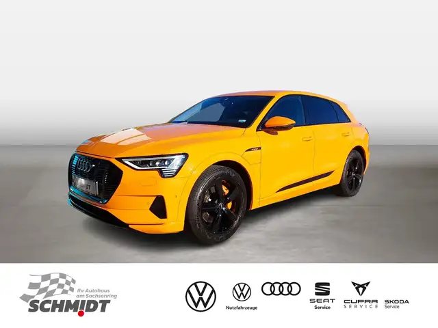 Audi e-tron 50 quattro advanced Stadt+Tour AHK MATRIX
