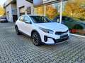 Kia XCeed 1.5T DCT Spirit STD MJ25 Weiß - thumbnail 4