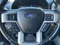 Ford F 150 3.5 V6 Ecoboost Crew LPG Grijs - thumbnail 28