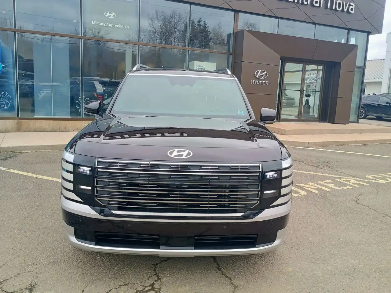 Hyundai PALISADE снимка Hyundai PALISADE