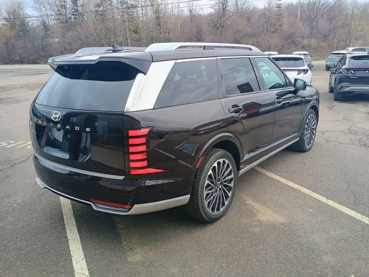 Hyundai PALISADE снимка Hyundai PALISADE