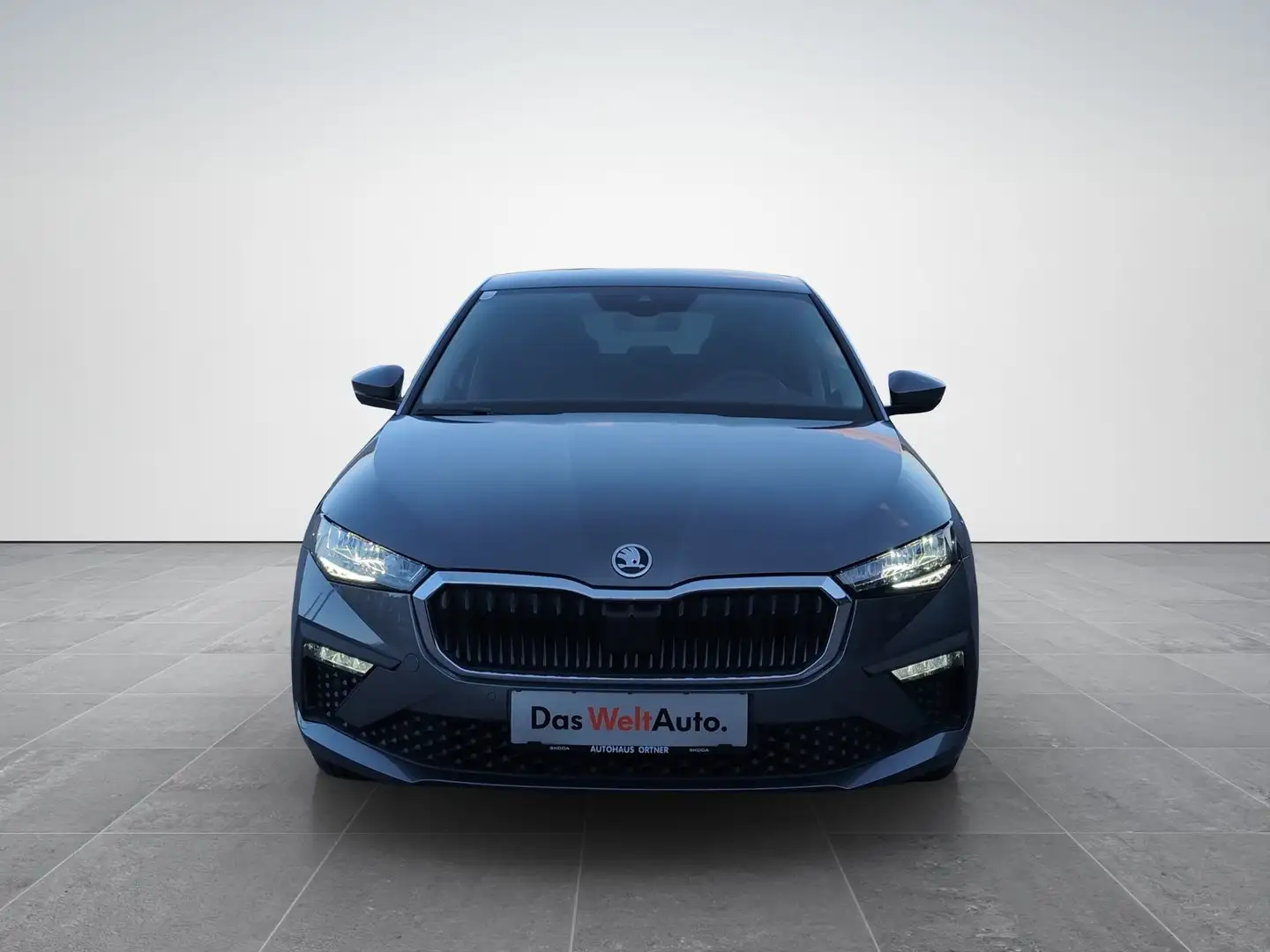 Skoda Scala Selection TSI Grau - 2