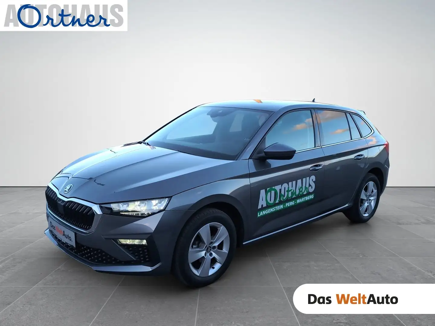Skoda Scala Selection TSI Grau - 1