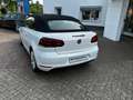 Volkswagen Golf Cabriolet 6 2.0 TDI Cabriolet Weiß - thumbnail 5
