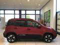 Fiat Panda S9 1.0  Hybrid Pandina - PROMO MESE + TARGA - thumbnail 10