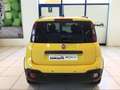 Fiat Panda S9 1.0  Hybrid Pandina - PROMO MESE + TARGA - thumbnail 19