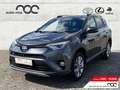 Toyota RAV 4 Team D 2.5  Hybrid LED ACC El. Heckklappe Mehrzone Grau - thumbnail 1