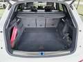 Audi Q5 40 TDI quattro-ultra Black line S tronic 150kW Blanc - thumbnail 6