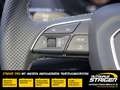 Audi Q2 S-Line 35 TFSI+Sofort Verfügbar+Soundystem+SHZ+ Bílá - thumbnail 7