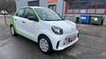 smart forFour smart forfour electric drive EQ( Grün Foliert). Weiß - thumbnail 3