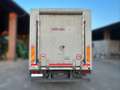 Mercedes-Benz Atego 815 - TRASPORTO ANIMALI Rosso - thumbnail 4