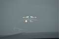 BMW 330 3 Serie Touring 330e High Executive M Sport Automa Grijs - thumbnail 35