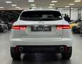Jaguar E-Pace E-Pace 2.0 i4 R-Dynamic S awd 249cv auto Gris - thumbnail 5
