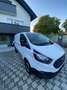 Ford Transit Custom Kasten 2,0 TDCi L2H1 320 Ambiente Weiß - thumbnail 8